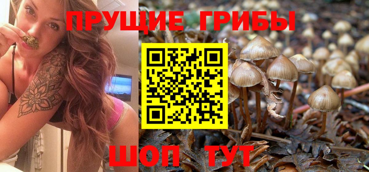 Псилоцибиновые грибы ЛСД Нефтекумск