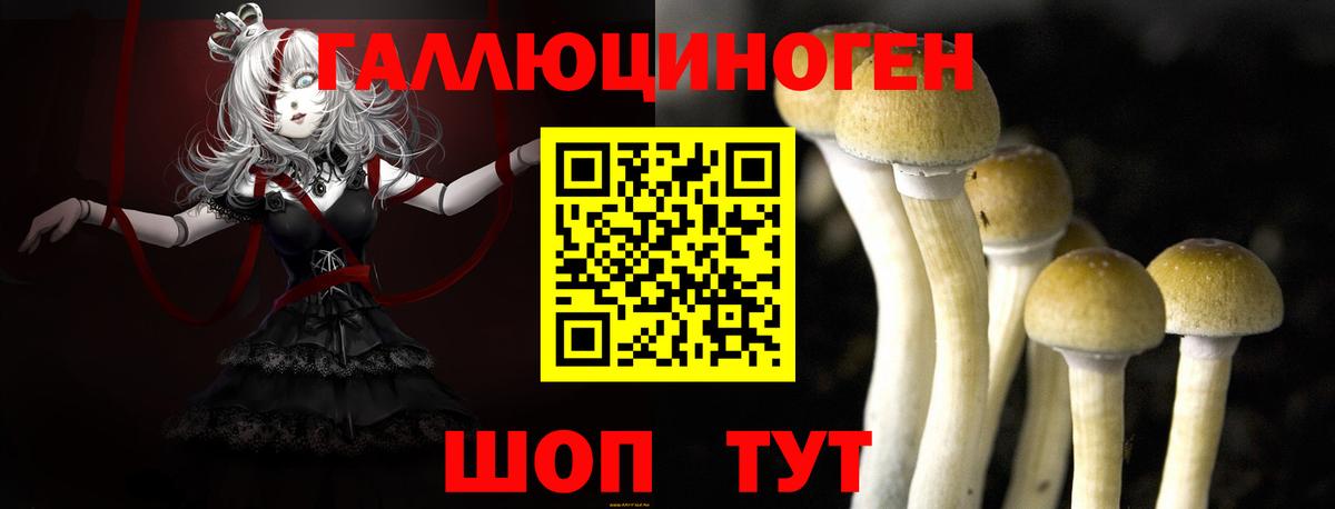 Нефтекумск  Псилоцибиновые грибы ЛСД  Вход с VPN  Псилоцибиновые грибы мухоморы 